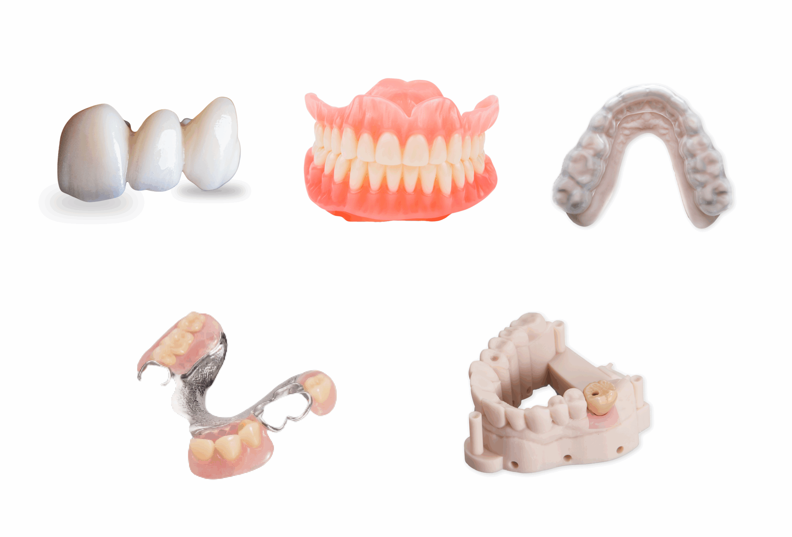 Dandy product guide international